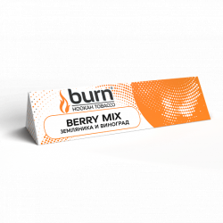 Табак BURN BERRYMIX 25 грамм