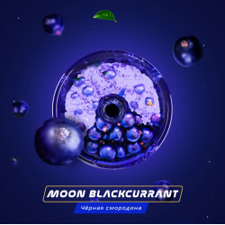 Паста Space Smoke BASIC Moon  Blackcurrant (Черная  смородина) 125 гр